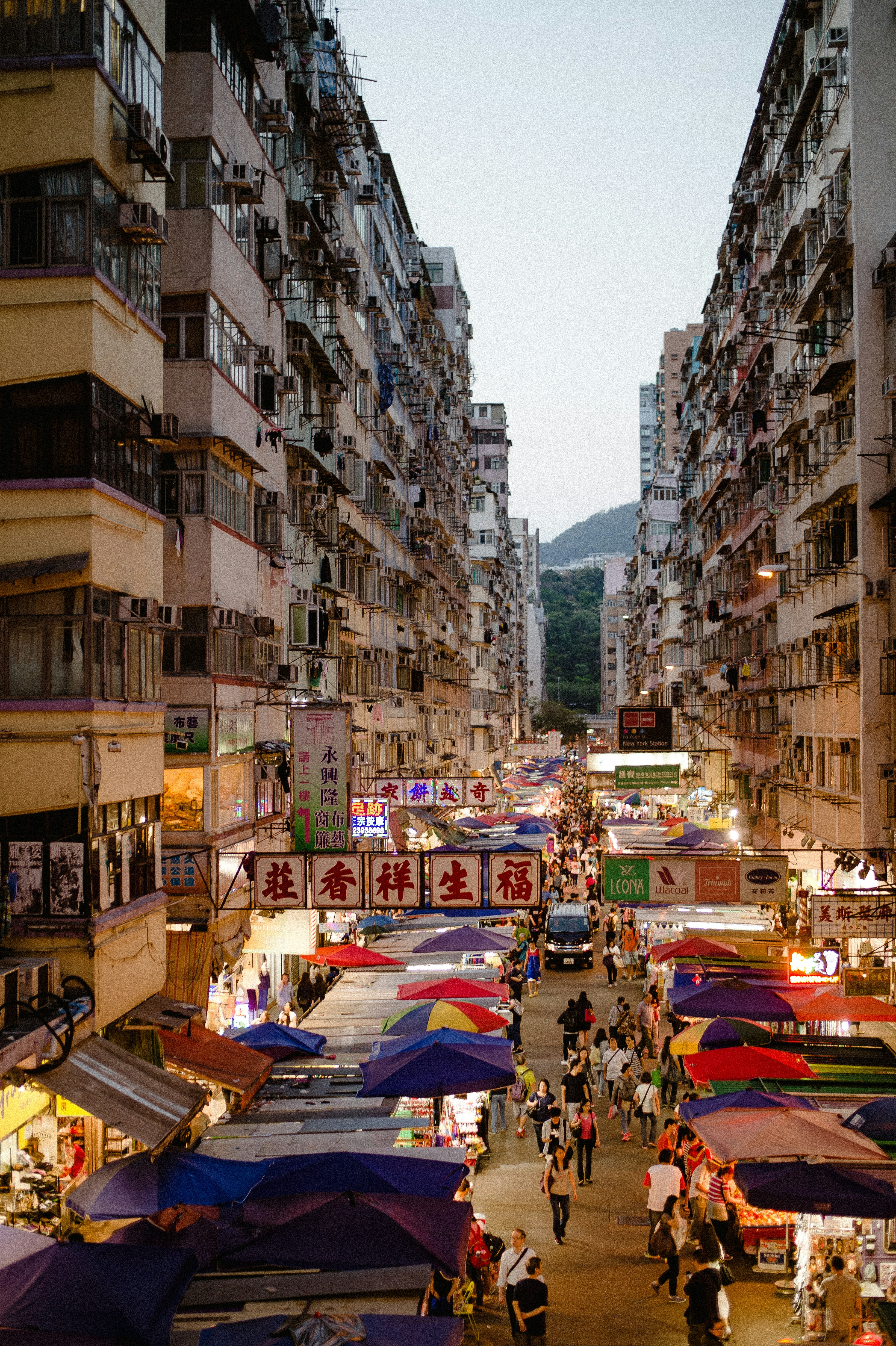 Photo by anniespratt