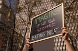 A person's hands hold up a rectangular chalkboard with the words 'IMAGINE IF WE ALL STOPPED EATING MEAT...' written in colorful chalk. In the background, there are tall buildings and trees with bare branches, suggesting an urban setting.