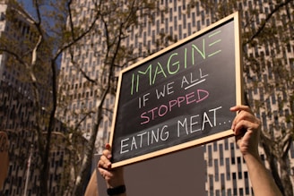 A person's hands hold up a rectangular chalkboard with the words 'IMAGINE IF WE ALL STOPPED EATING MEAT...' written in colorful chalk. In the background, there are tall buildings and trees with bare branches, suggesting an urban setting.