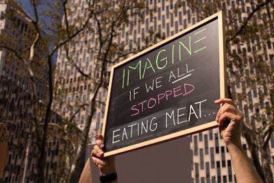 A person's hands hold up a rectangular chalkboard with the words 'IMAGINE IF WE ALL STOPPED EATING MEAT...' written in colorful chalk. In the background, there are tall buildings and trees with bare branches, suggesting an urban setting.