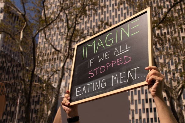 A person's hands hold up a rectangular chalkboard with the words 'IMAGINE IF WE ALL STOPPED EATING MEAT...' written in colorful chalk. In the background, there are tall buildings and trees with bare branches, suggesting an urban setting.