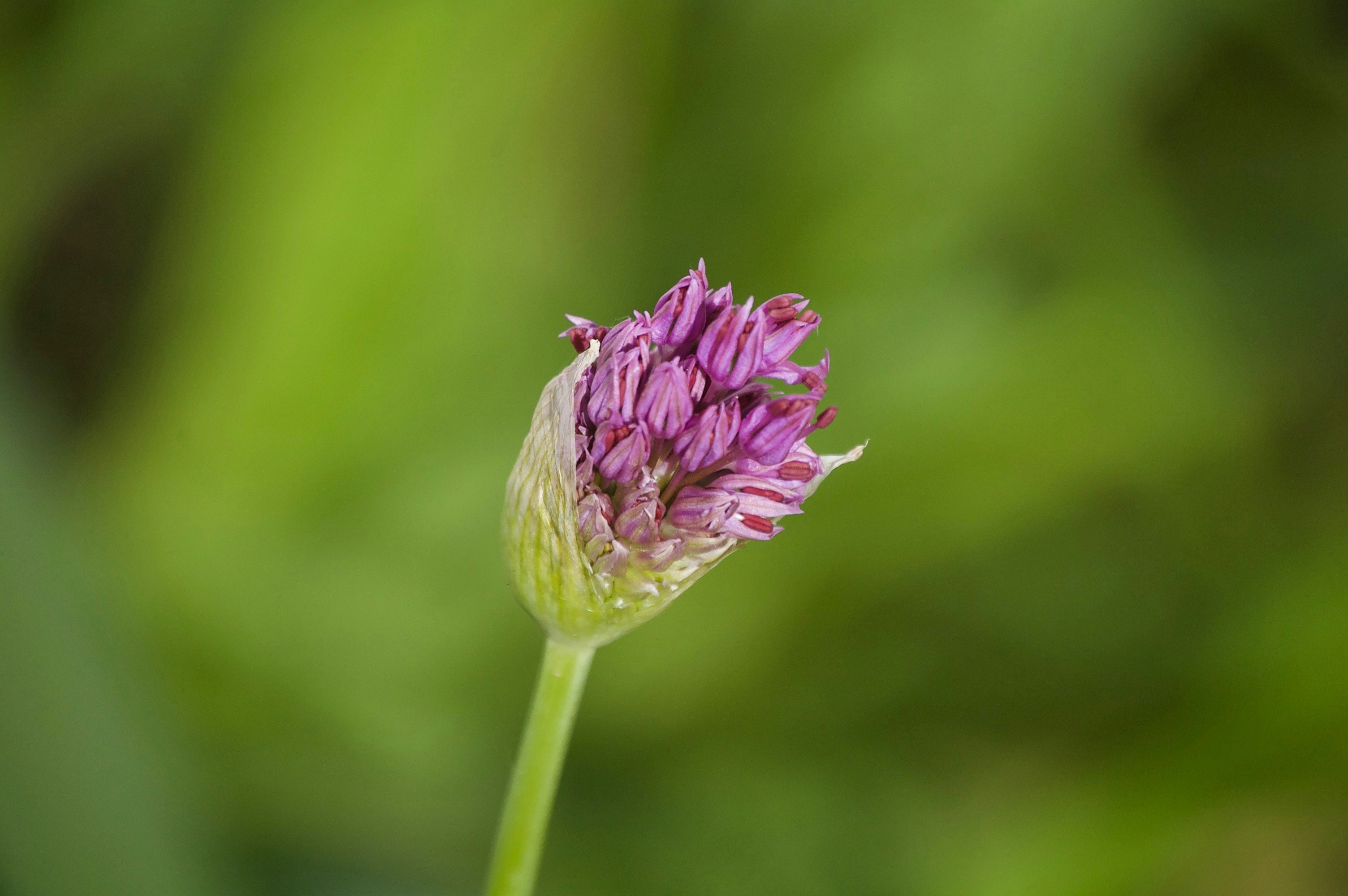 Photo by valerieblanchett