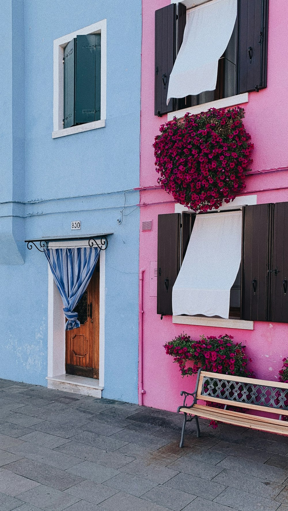 pink painted wall