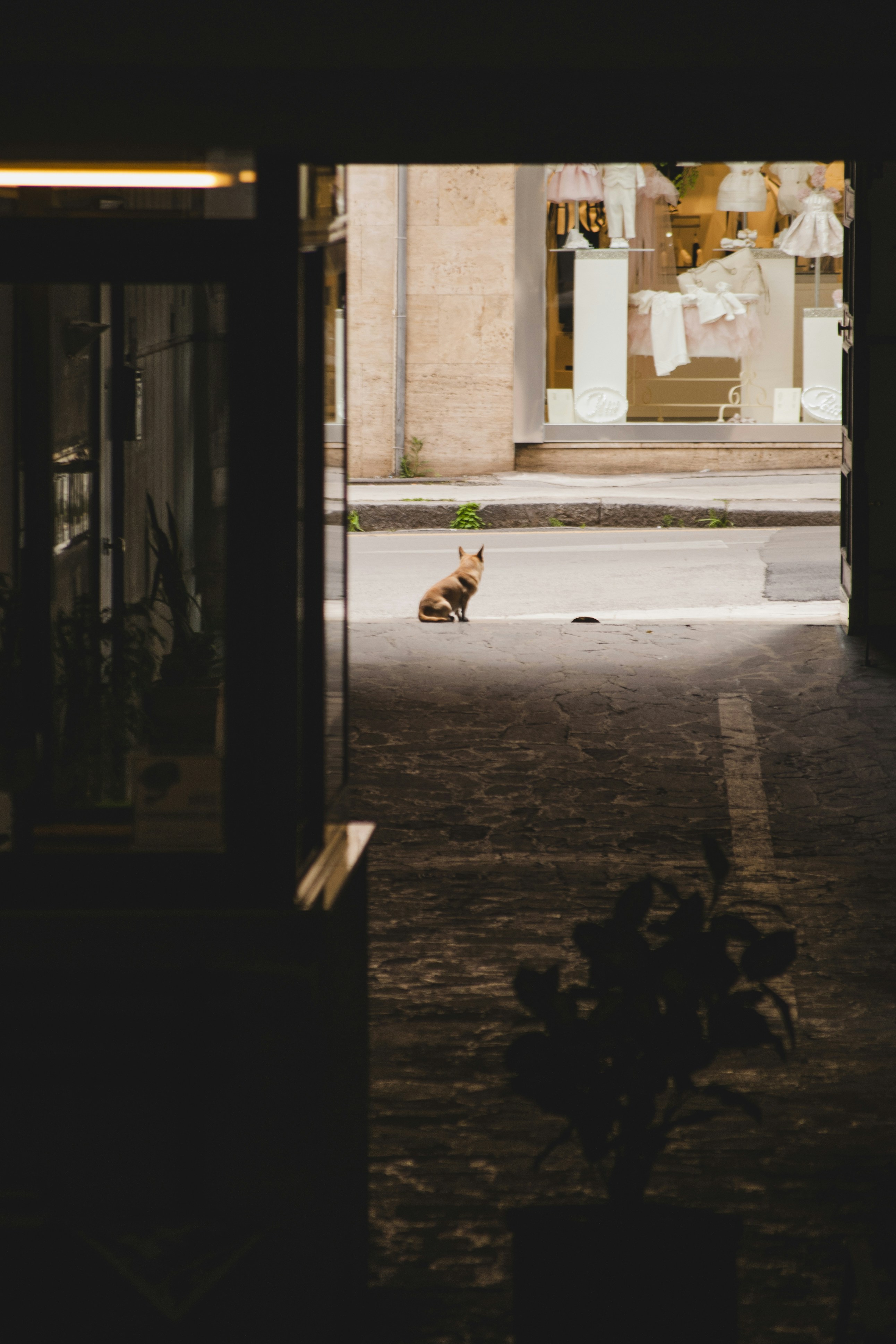 Photo by yuli_superson