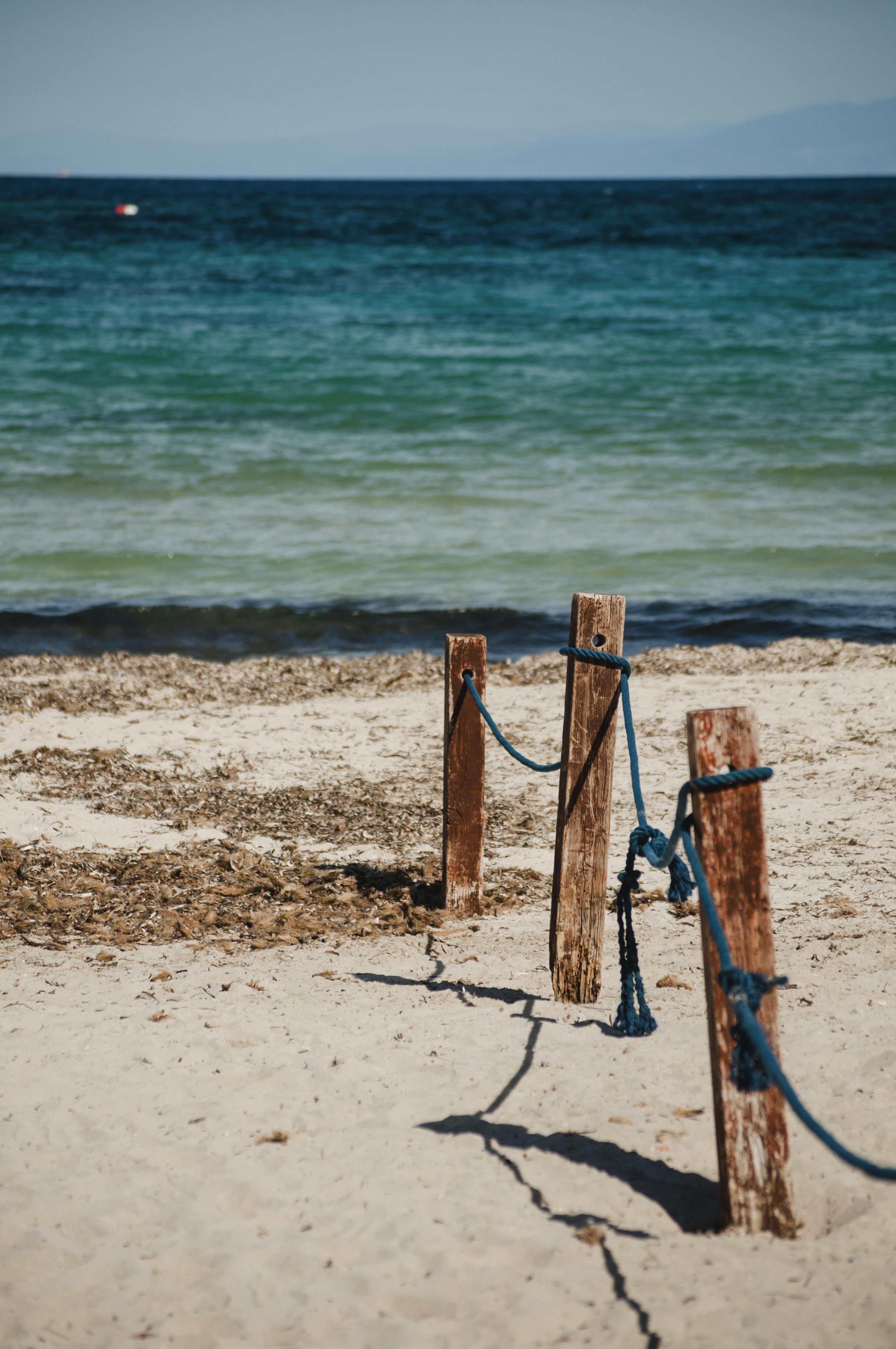 Photo by yuli_superson