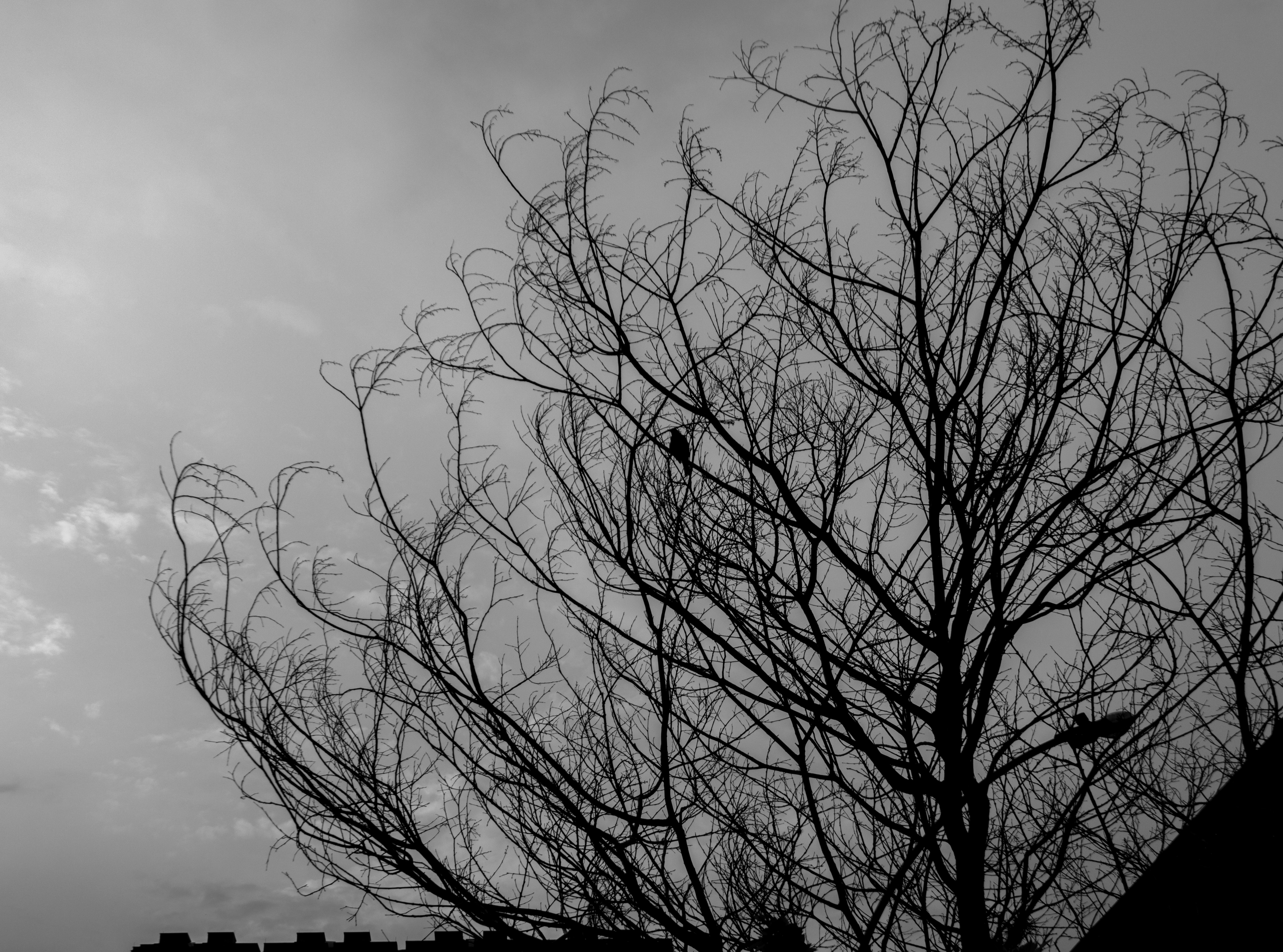 Photo by daviddcortess