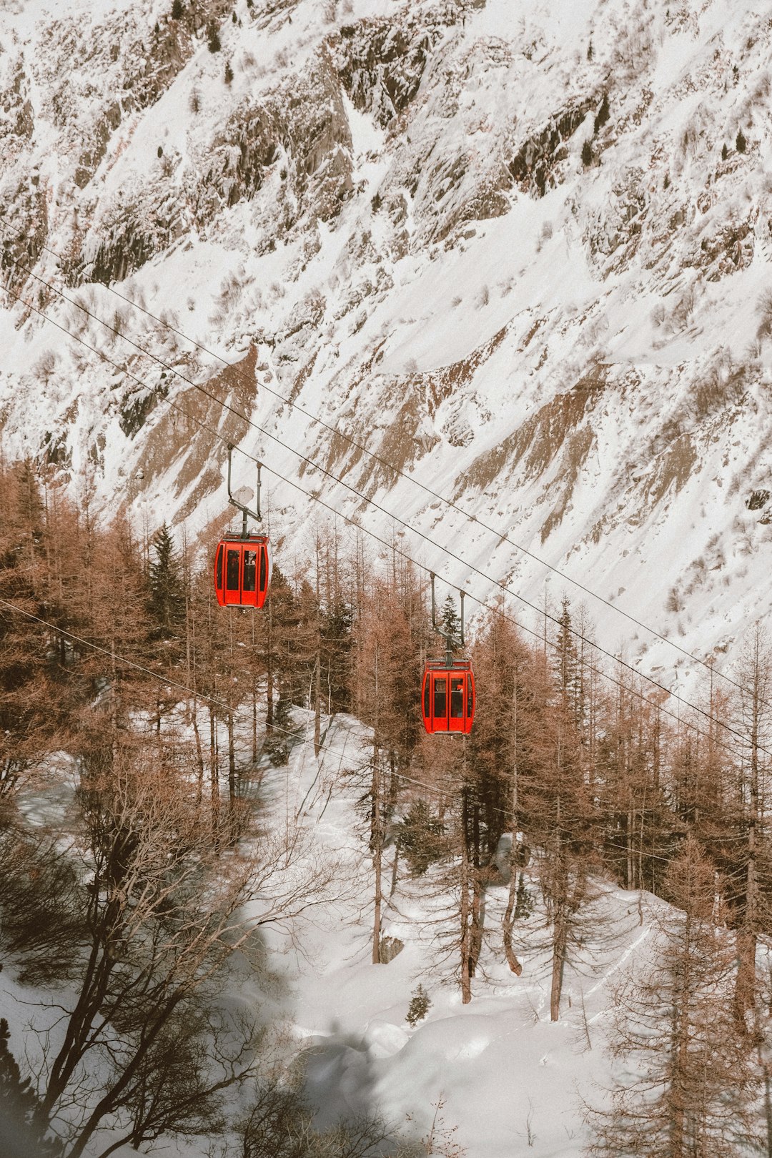 red cables cars over trees