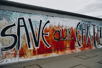 save our eart wall mural