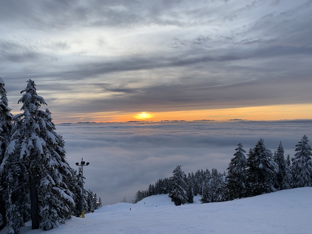 sea of clouds and sun set