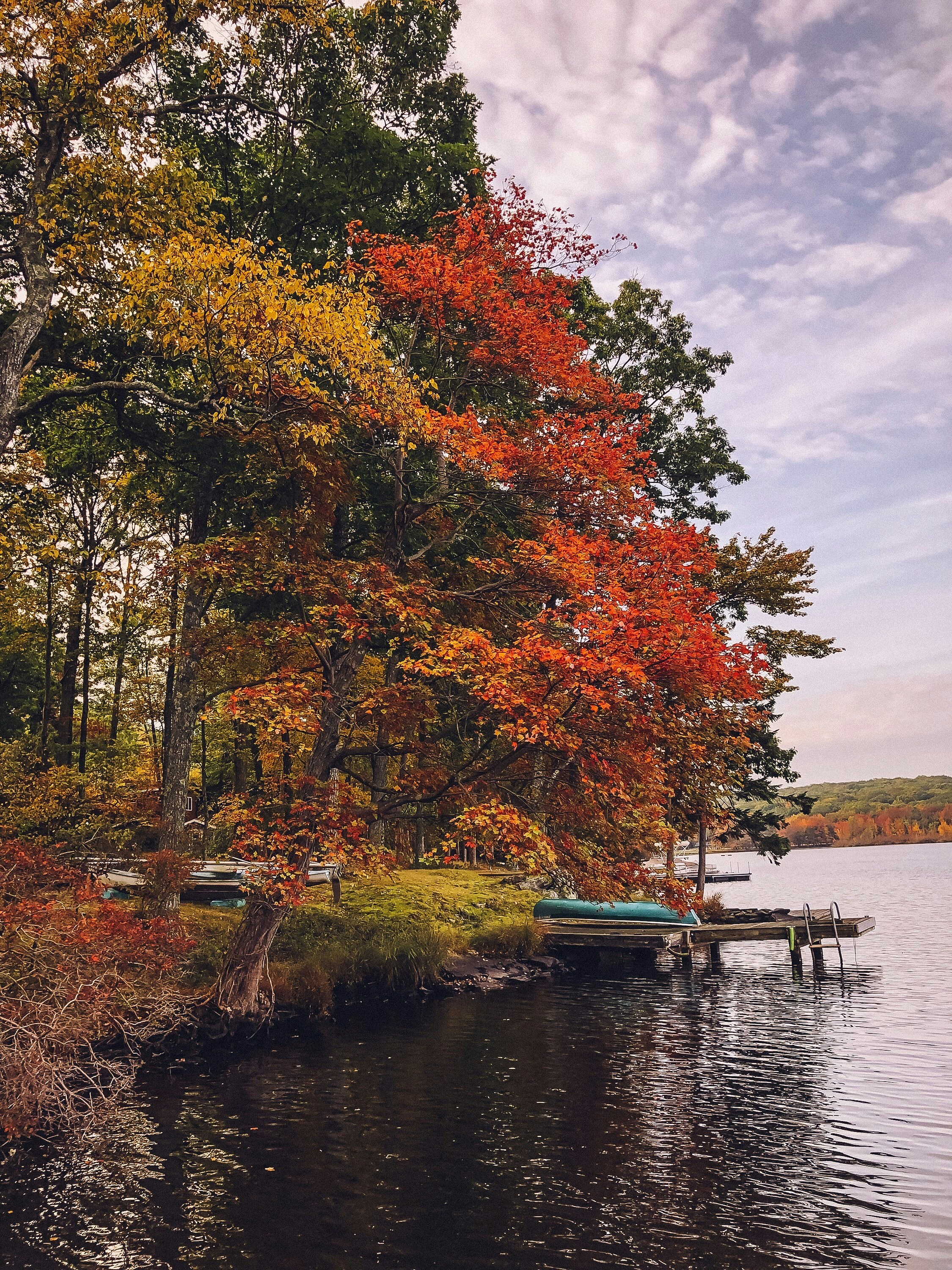 Photo by juliecmcginn2