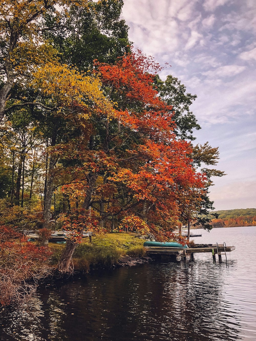 red trees