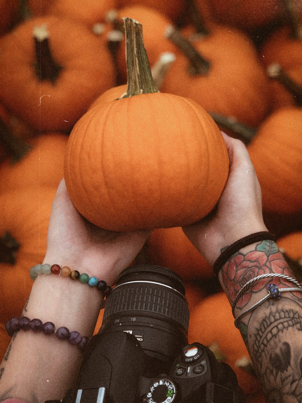 person holding red squash