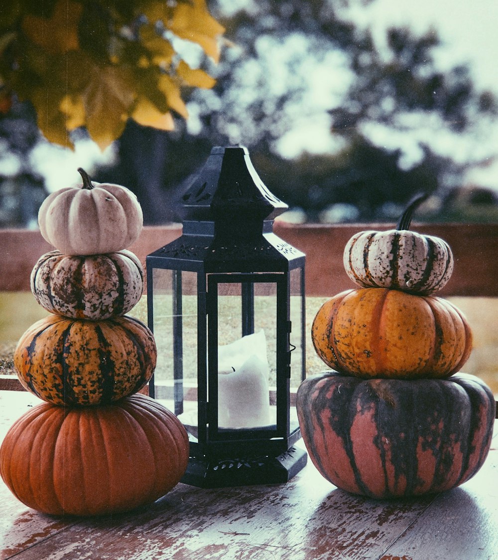 several assorted-color pumpkins