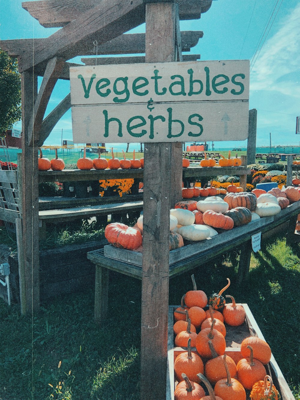 vegetable herbs signage