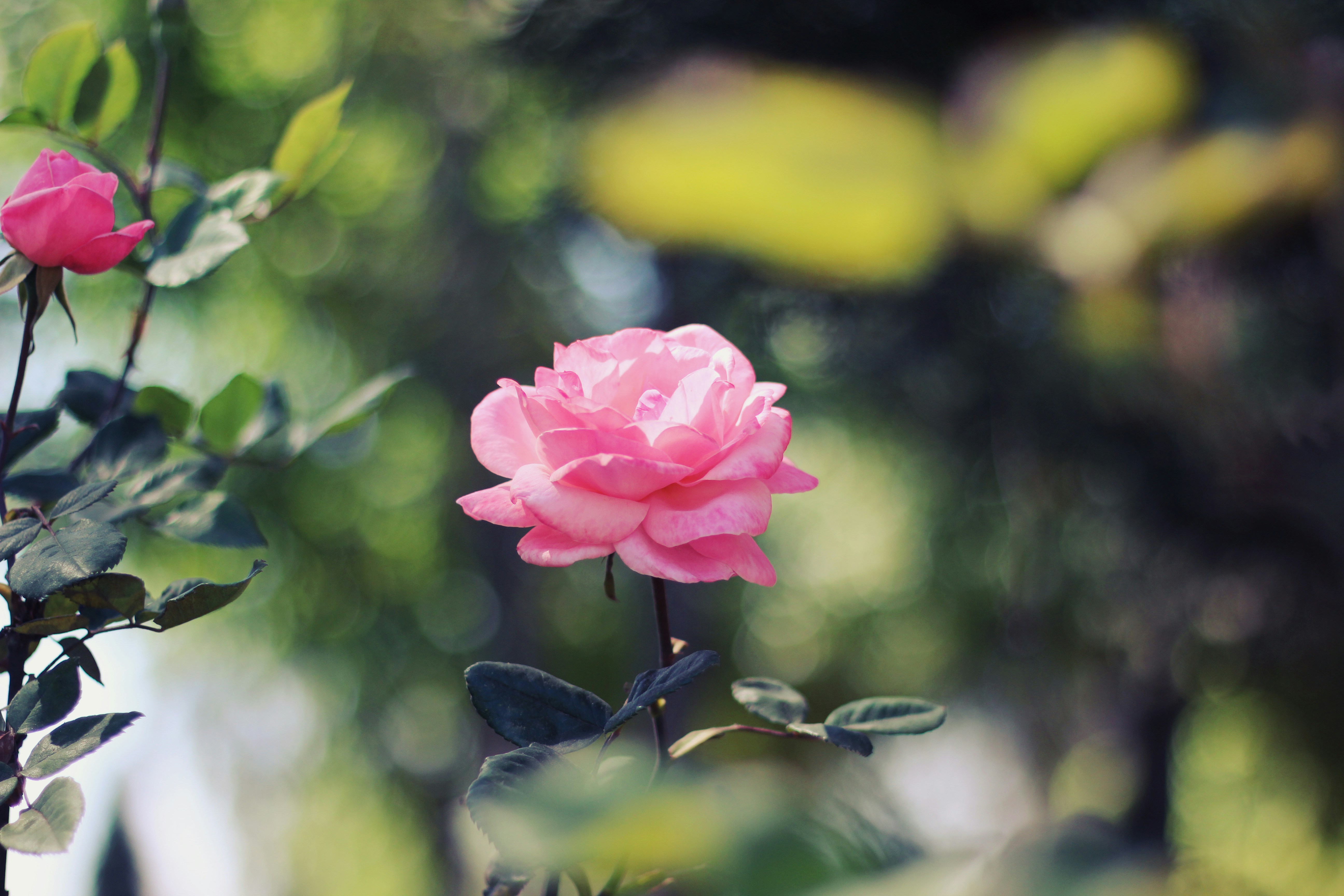 Photo by carolinahdzz