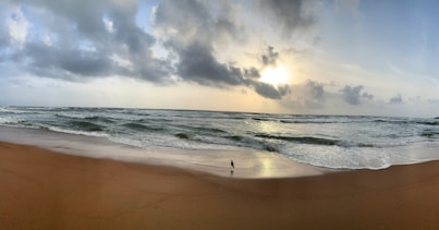 a person standing on a beach next to the ocean