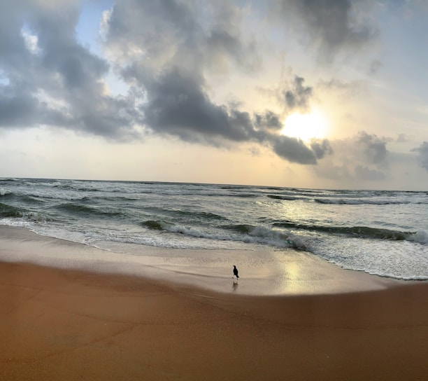 a person standing on a beach next to the ocean