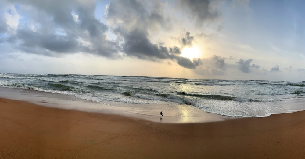 a person standing on a beach next to the ocean