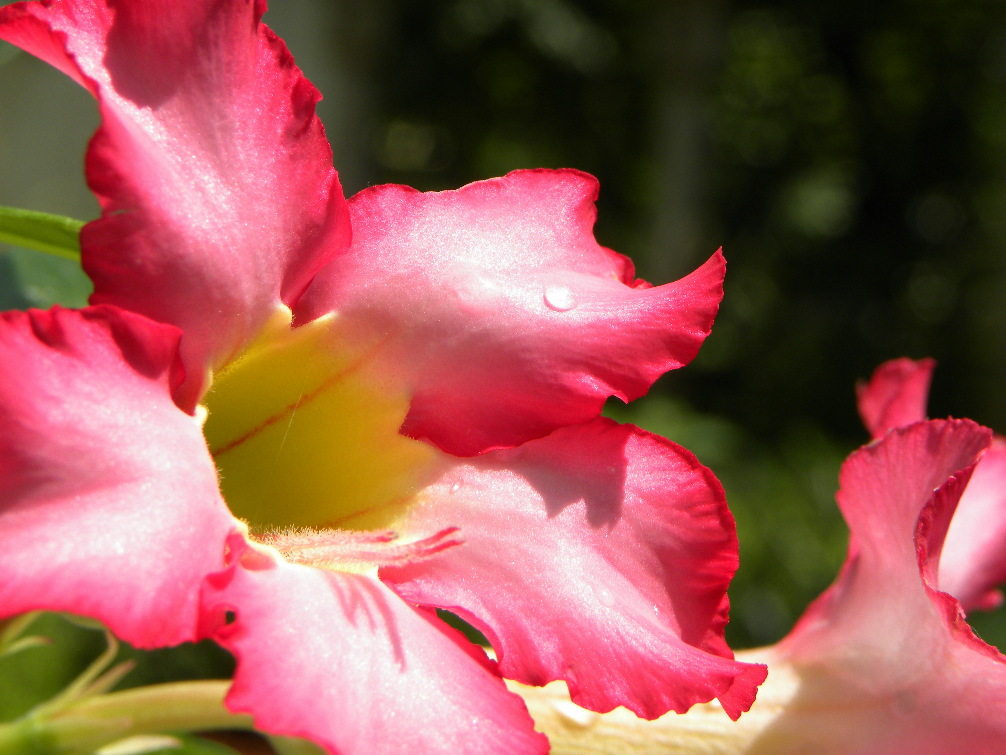 Photo by clairemarlow06