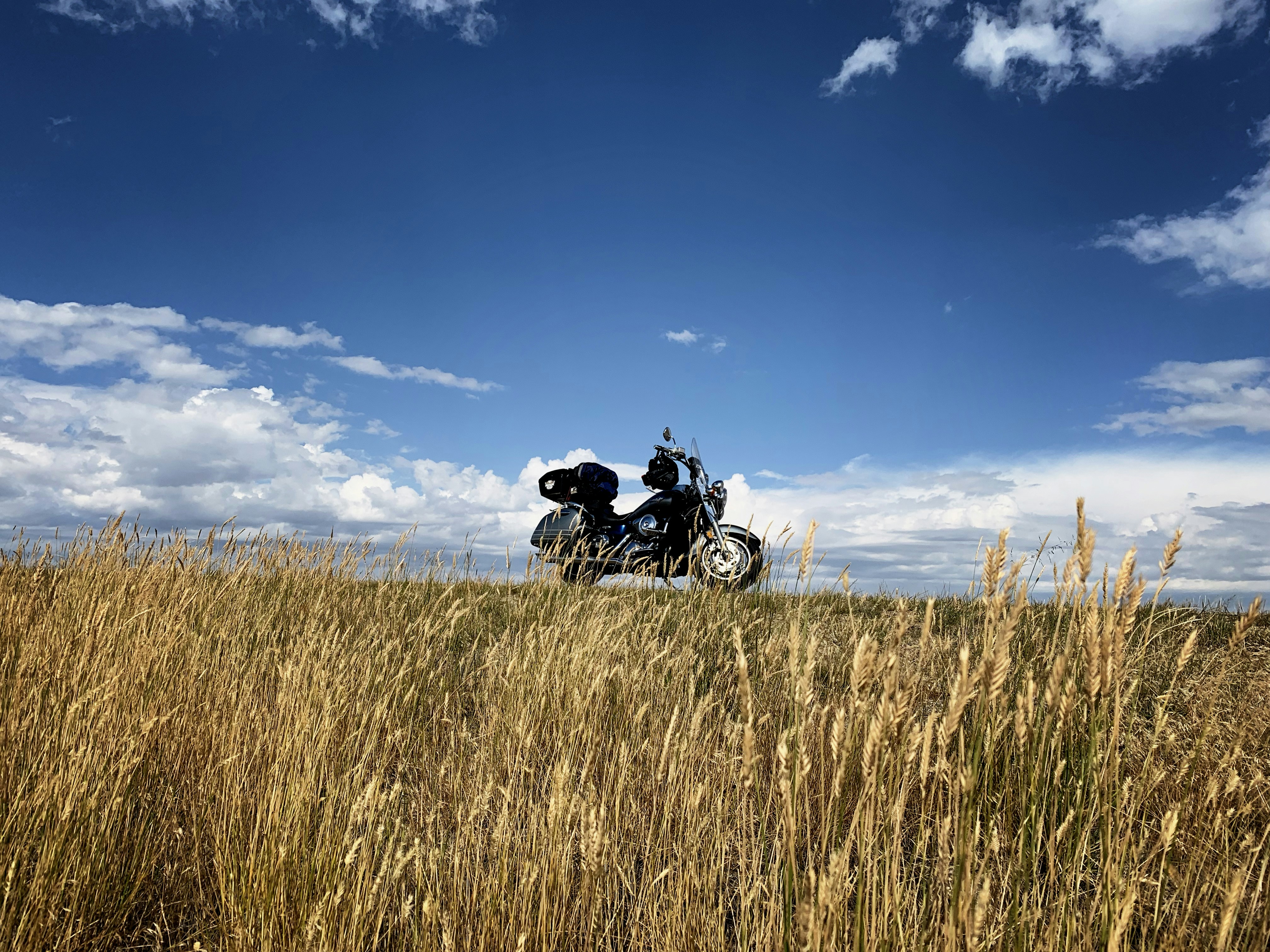 black cruiser motorcycle near plant field, Stopped for a break along a long and lonely road in Wyoming.