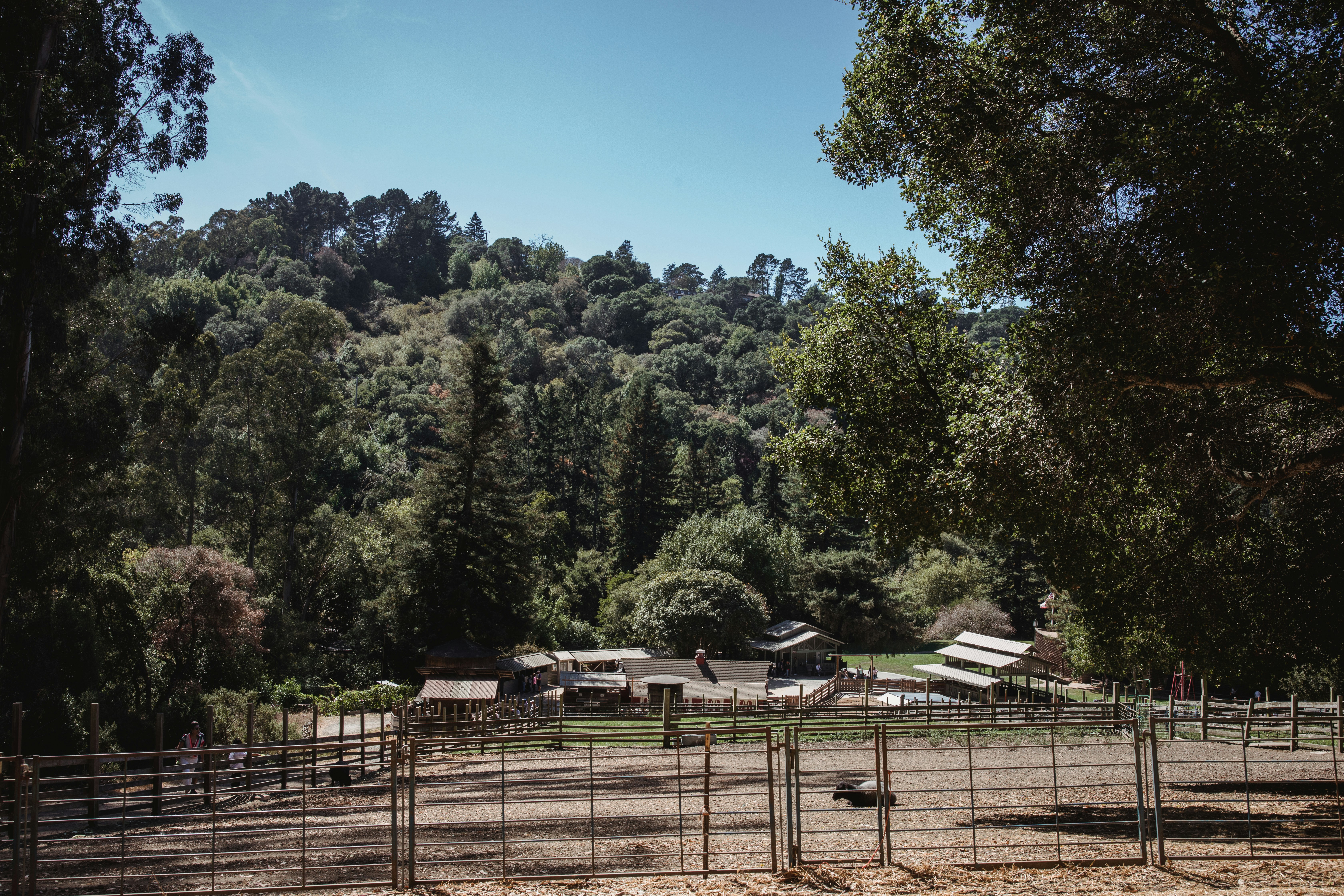 The Urban Rescue Ranch Most Wanted Calymshirt Pictures | Download Free ...