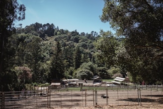 A peaceful rural scene with a farm situated at the base of a lush, green hillside. The farm includes several structures, such as barns, positioned amidst a fenced area. Tall trees with dense foliage surround the area, and the sky above is clear and bright.