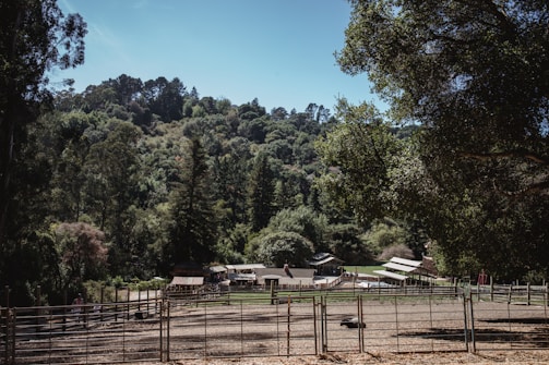 A peaceful rural scene with a farm situated at the base of a lush, green hillside. The farm includes several structures, such as barns, positioned amidst a fenced area. Tall trees with dense foliage surround the area, and the sky above is clear and bright.