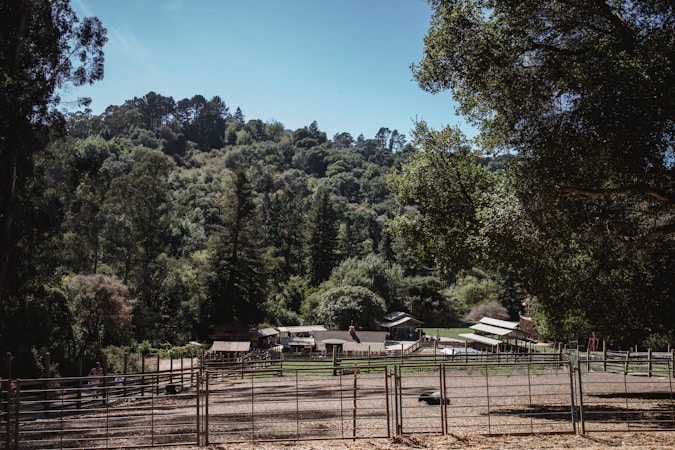 Welcome to Busby Farms: Your Local Hub for Sustainable Freshness