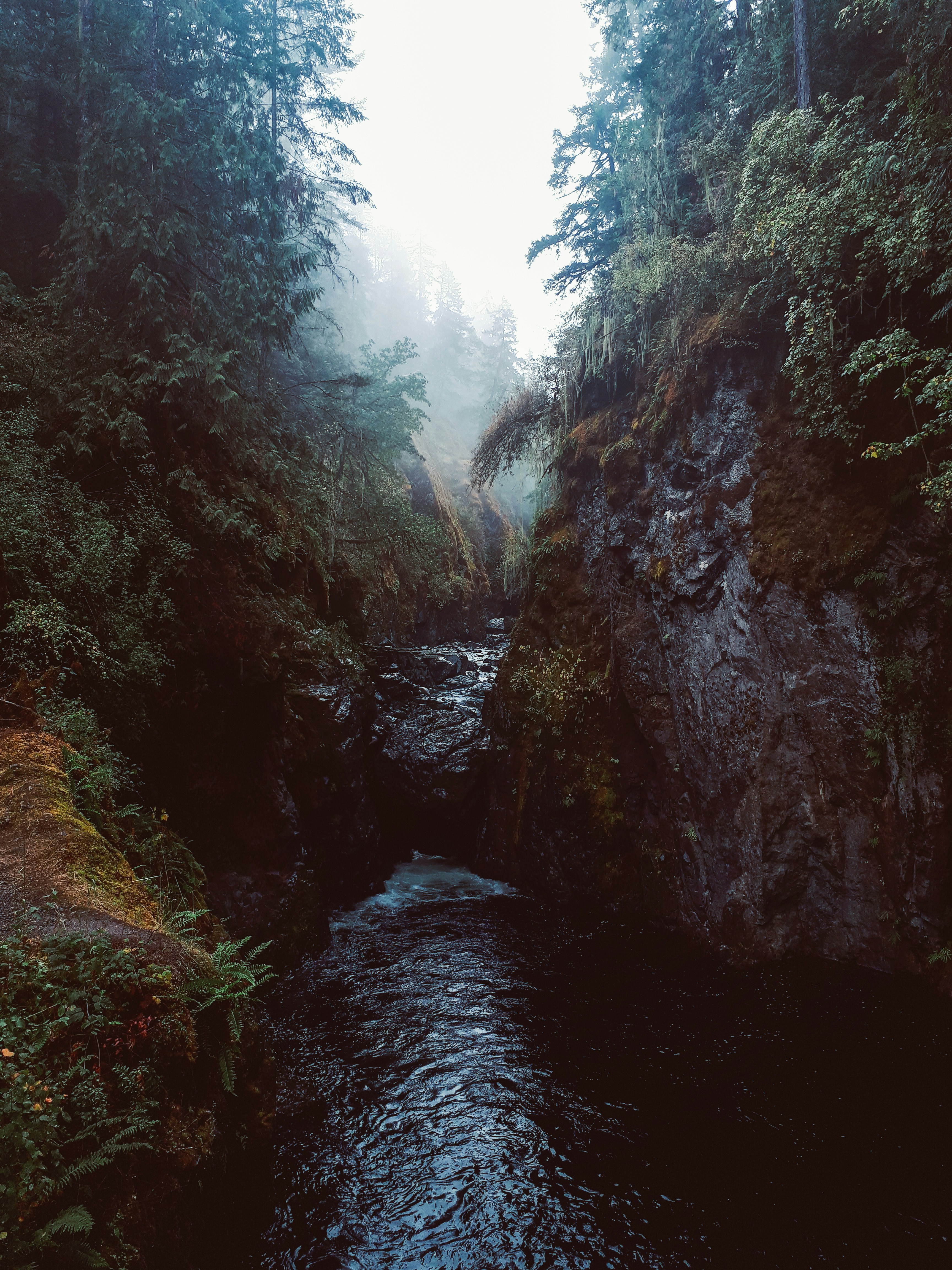 Photo by helloburger