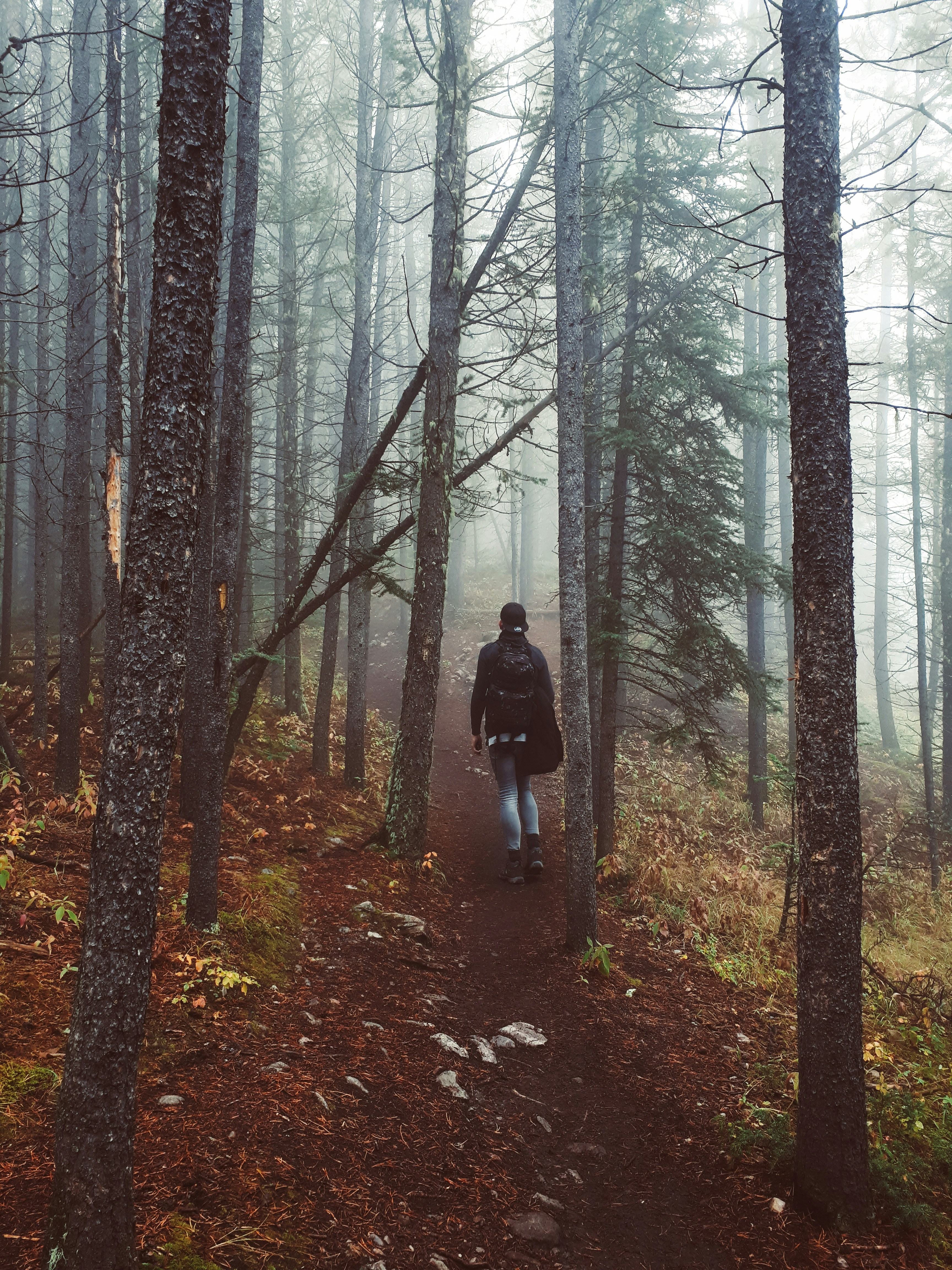 Photo by helloburger