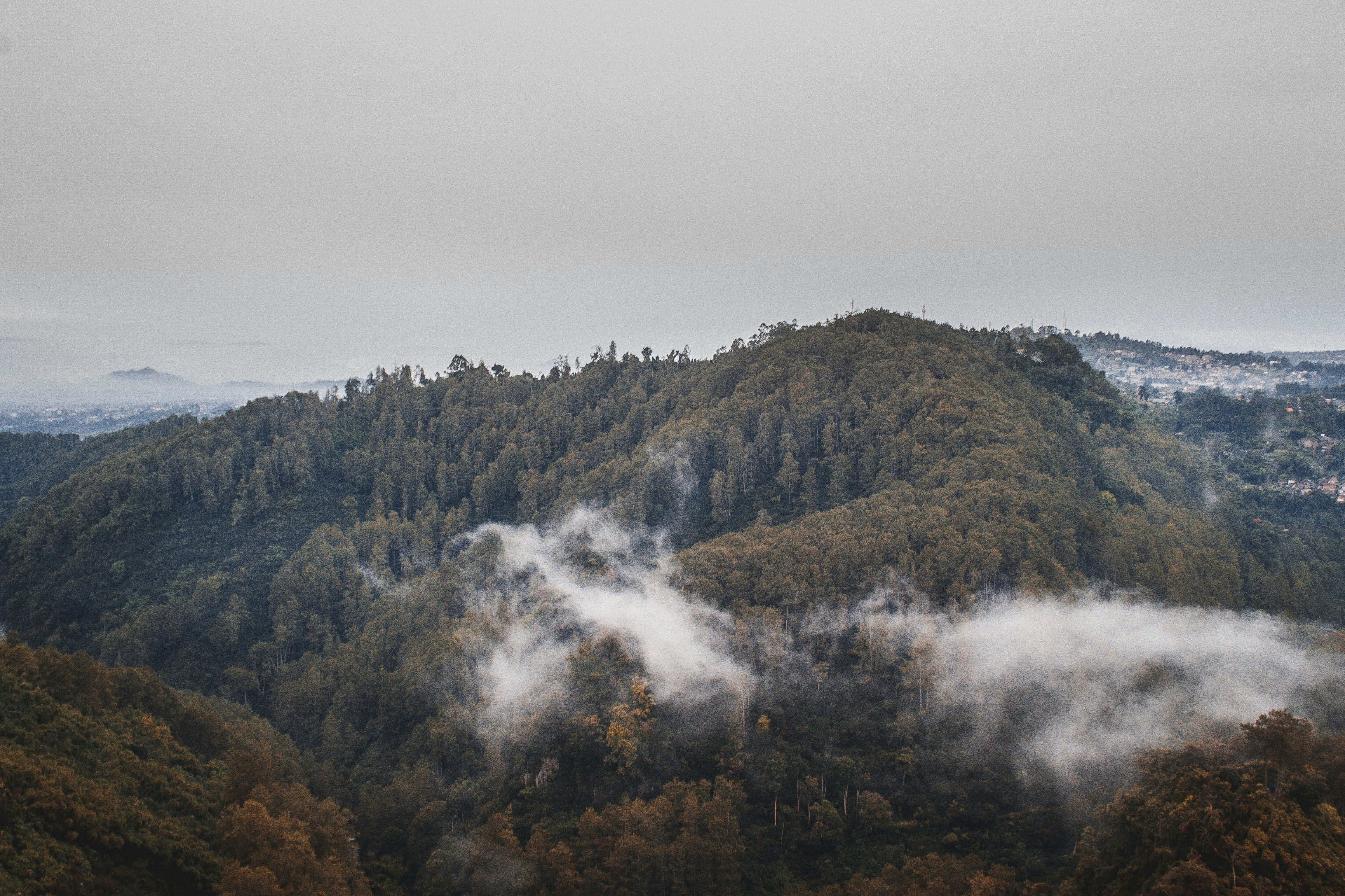 Photo by omanbdur