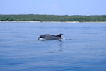 Brijuni as a sailing destination