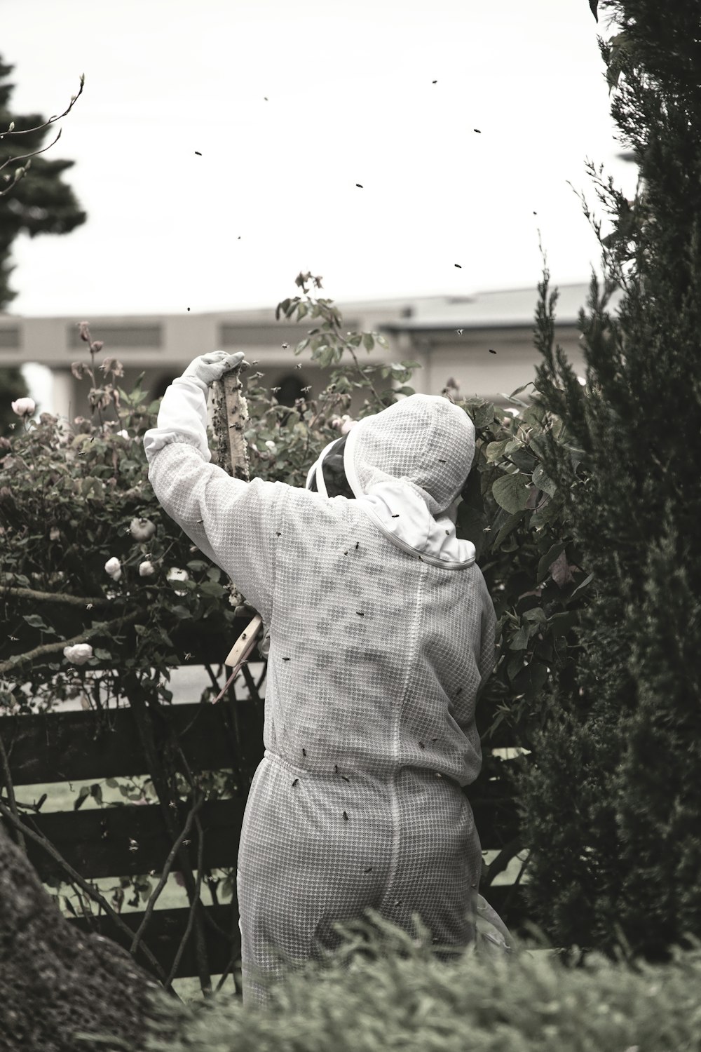 grayscale photo of person standing beside plant with swarm of bees