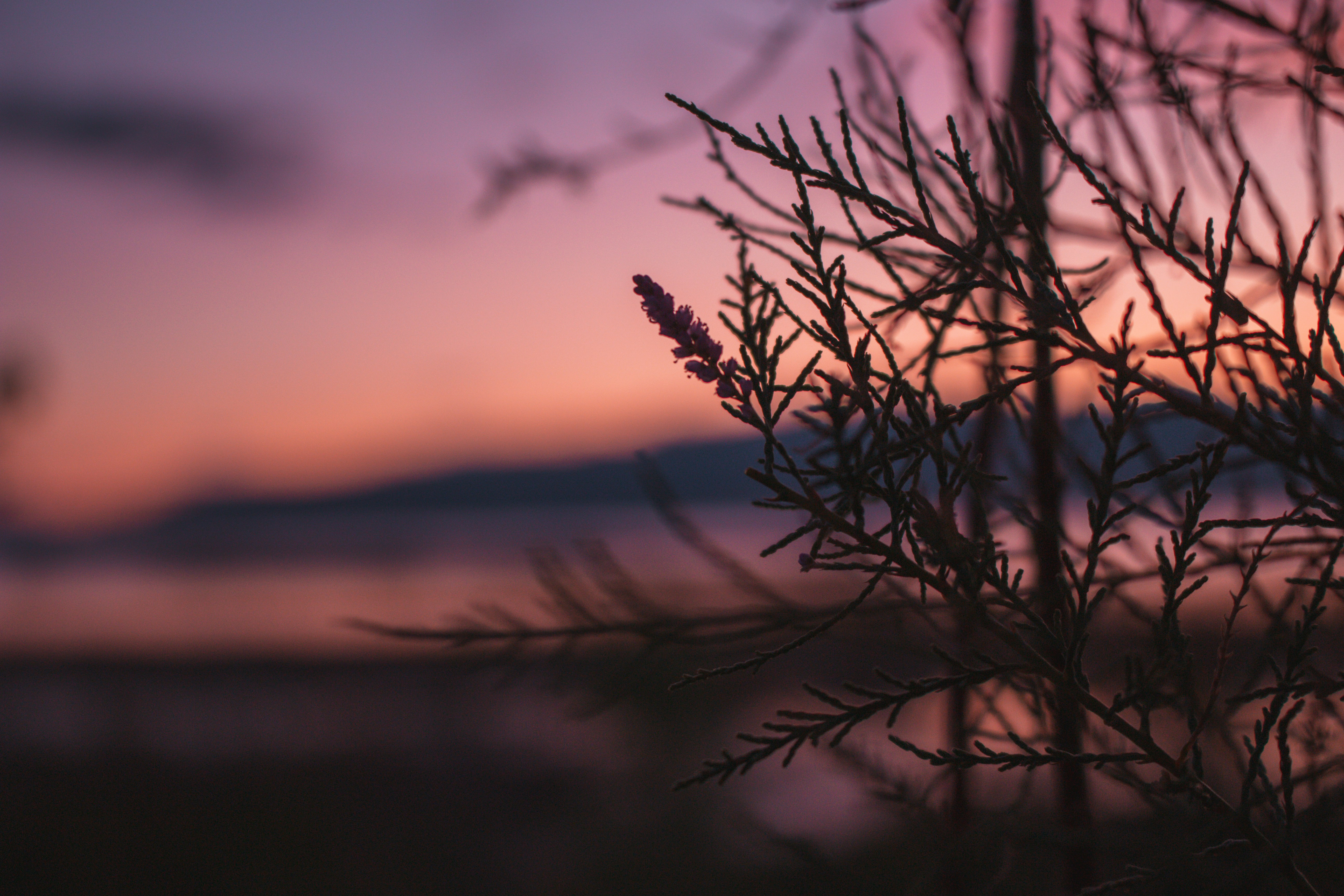 Photo by poligonostudios