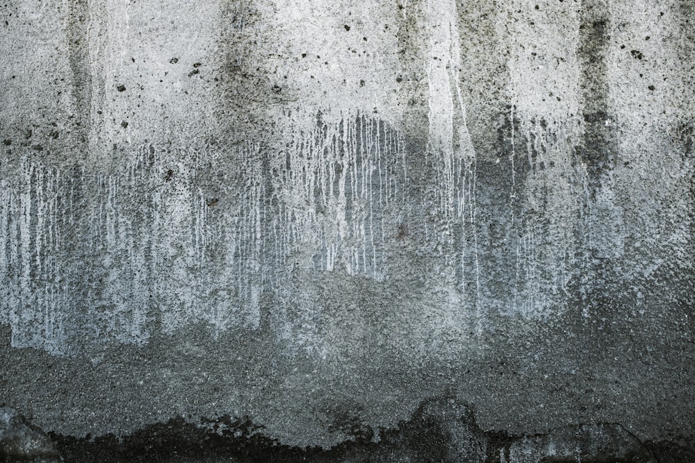 콘크리트 벽의 흑백 사진