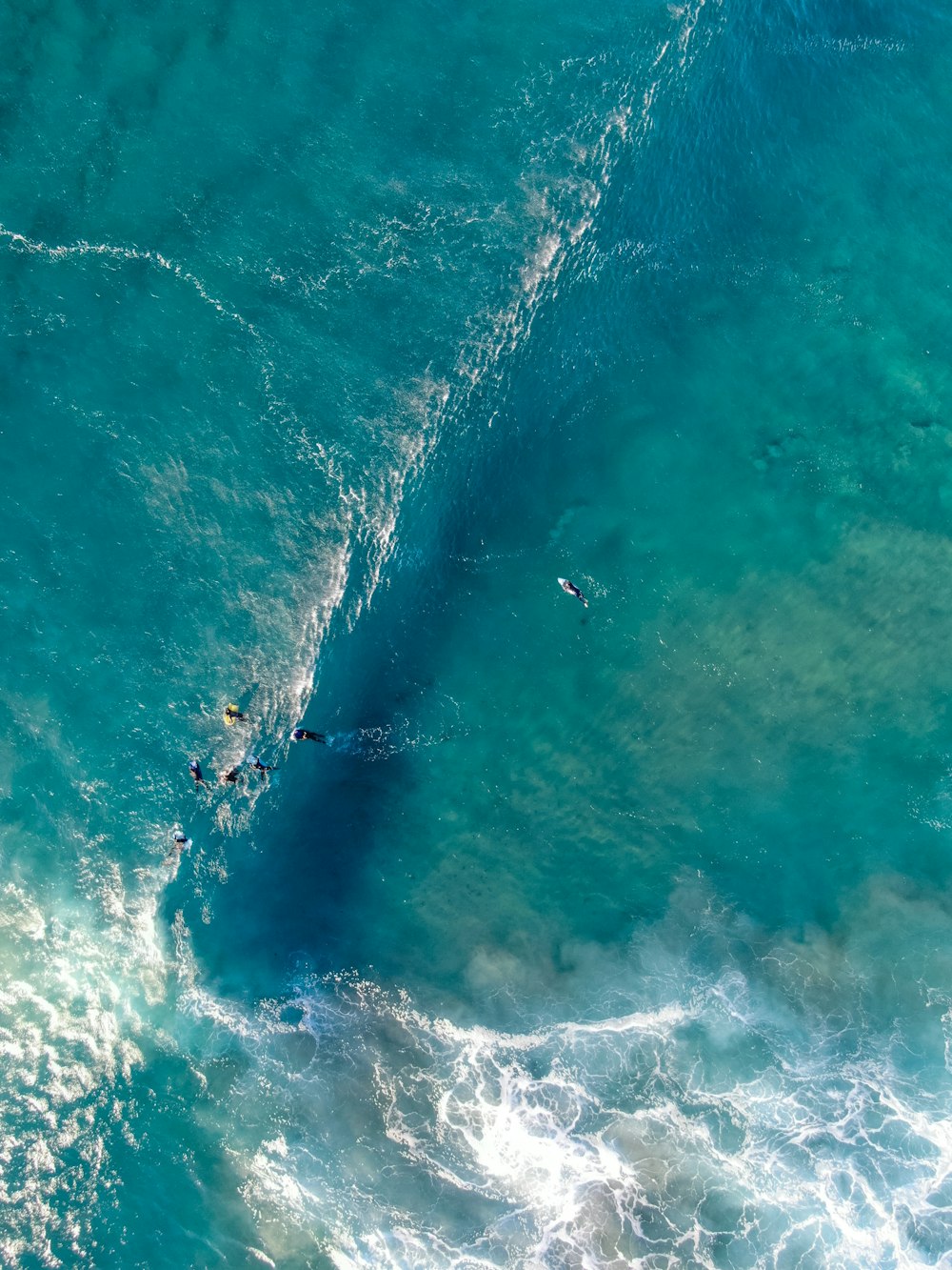 people surfing during daytime