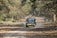 A vehicle with a safari banner drives down a dirt path surrounded by dense forest. The path is covered with dry leaves, suggesting autumn. Sunlight filters through the trees, creating dappled shadows on the ground.