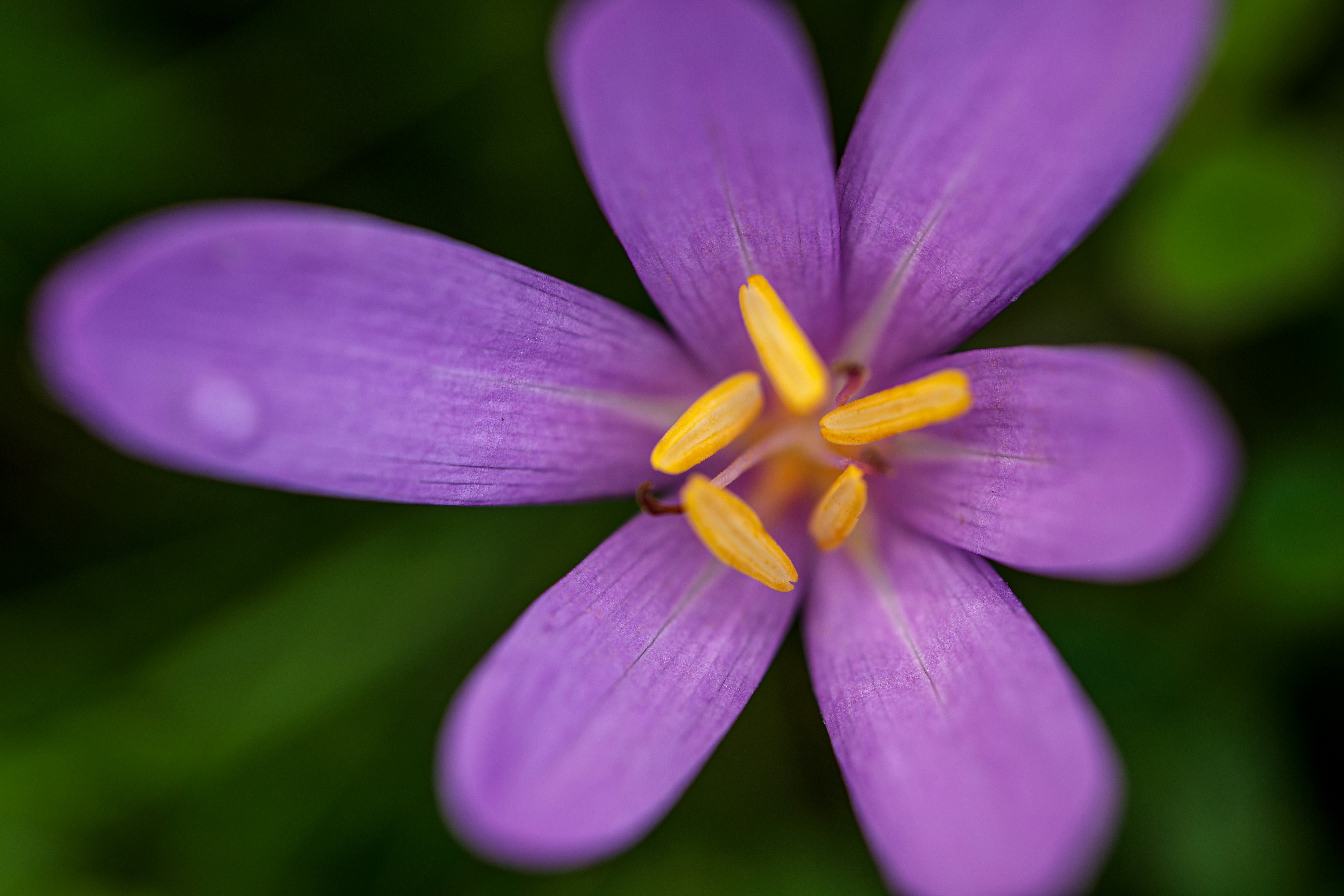 Photo by zmachacek