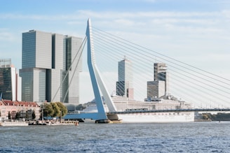 white cruise ship on calm body of water