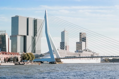 white cruise ship on calm body of water