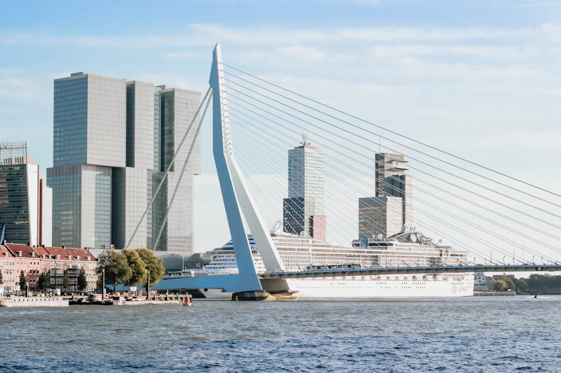 Best Solo Traveler Spots in Rotterdam: Where to Eat, Drink, and Connect