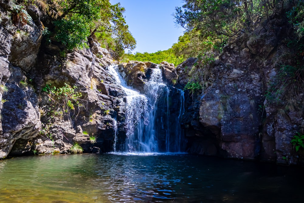 waterfall in between tree under clear sky