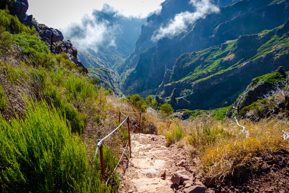 pathway above mountain