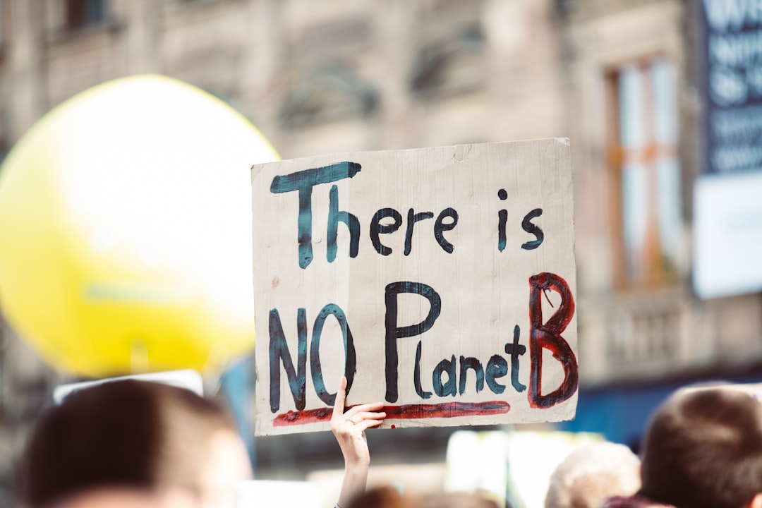 THERE IS NO PLANTE B. Global climate change strike - No Planet B - Global Climate Strike 09-20-2019