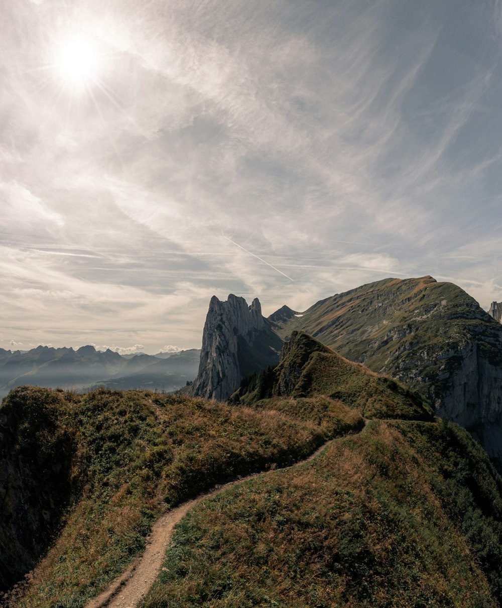 a grassy hill with a trail going through it