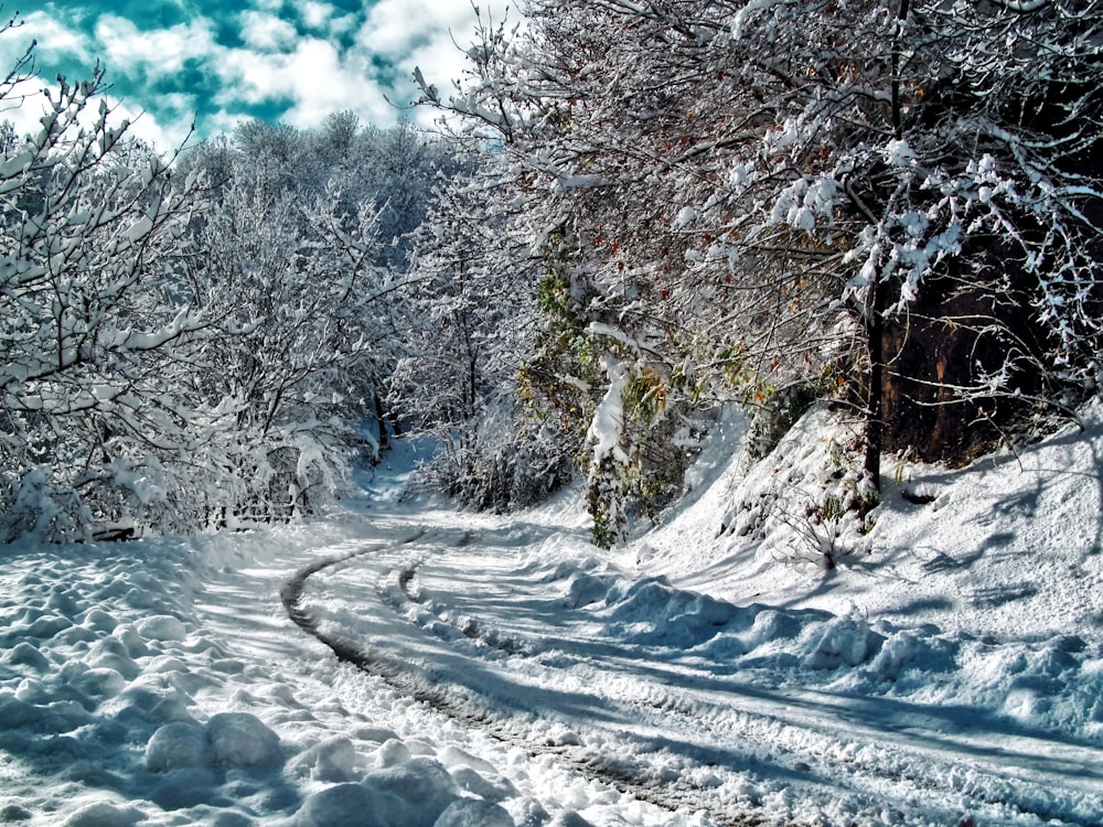 snow covered road