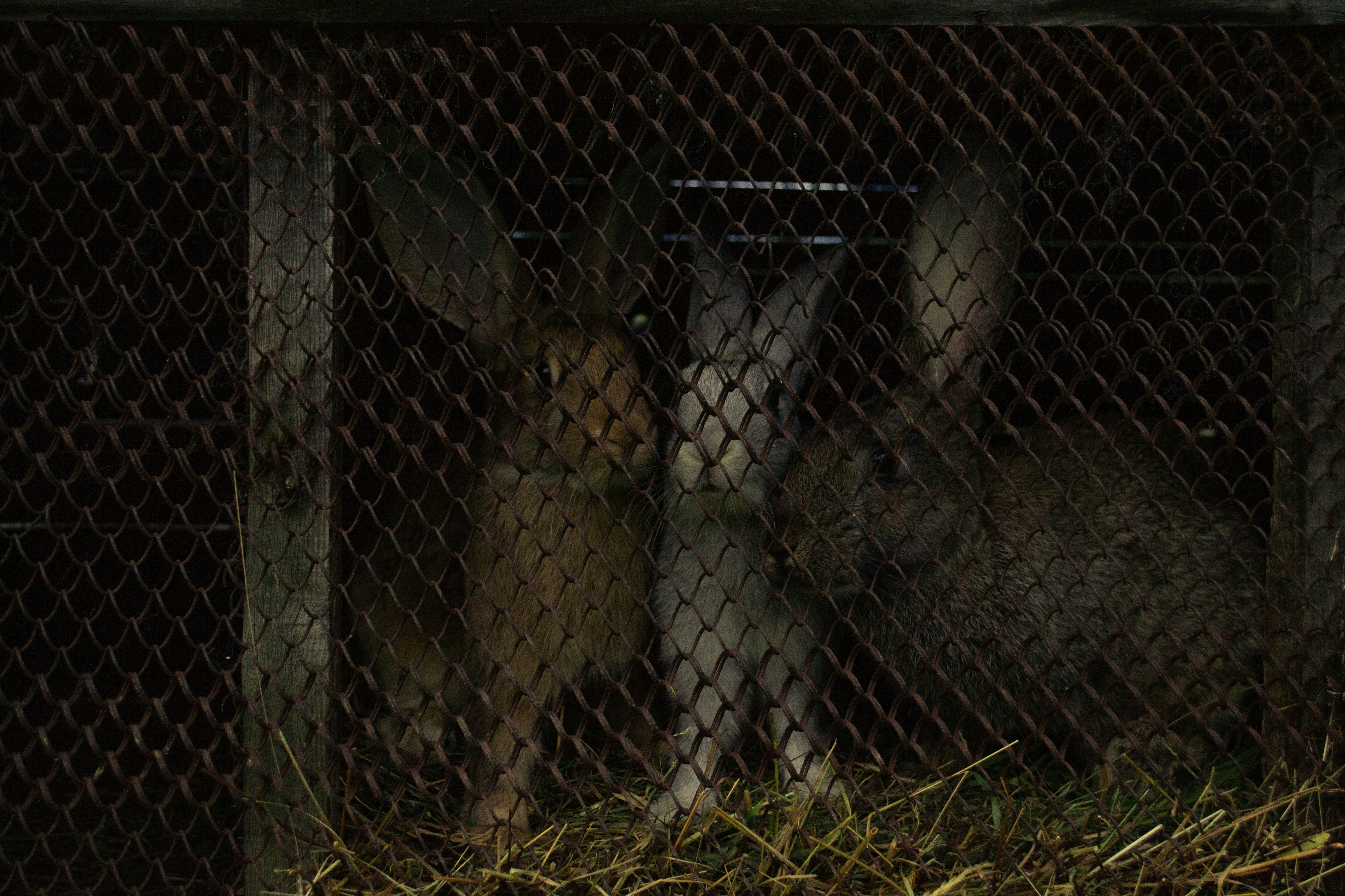 Photo by tiny_shelter