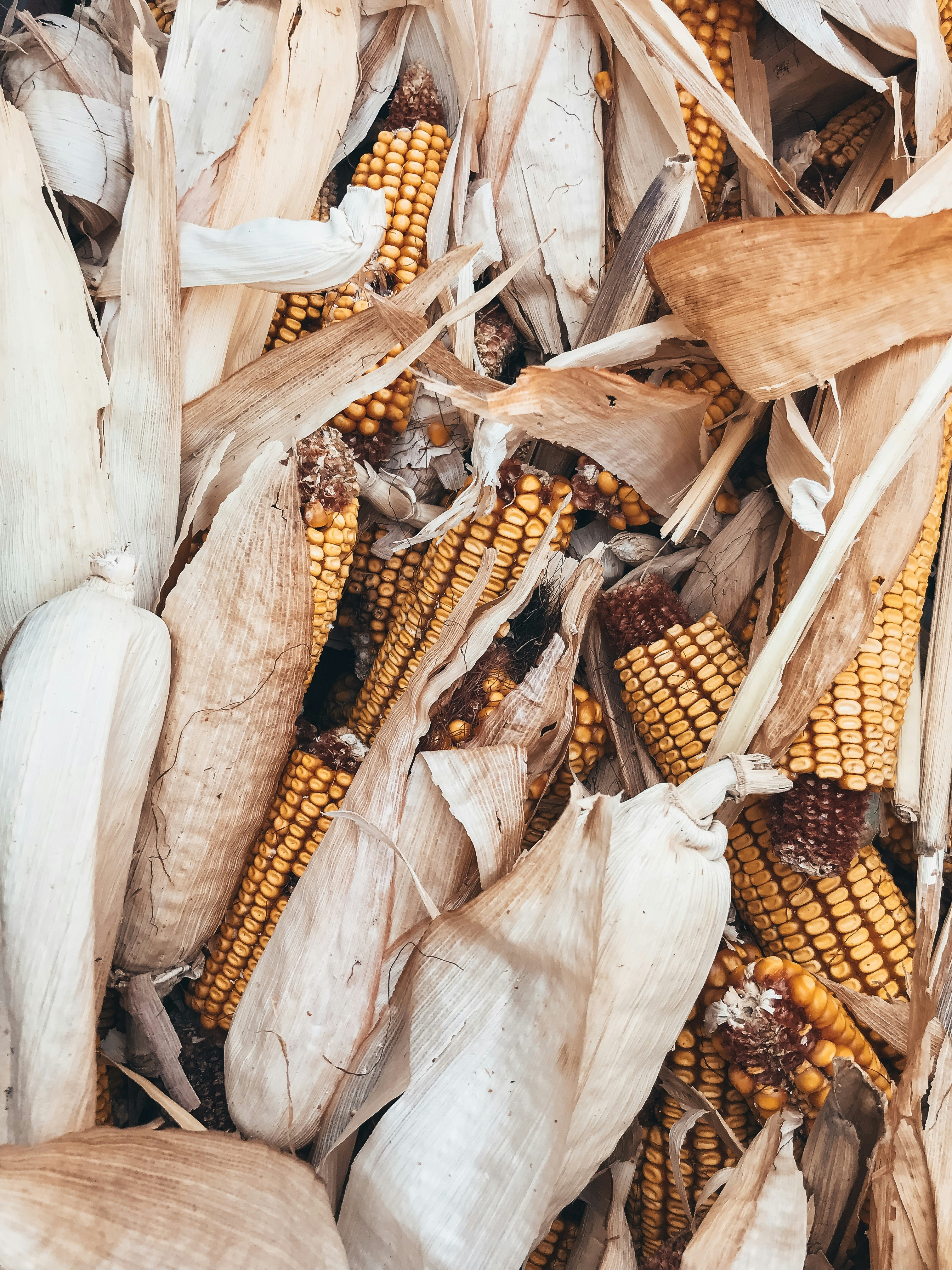 On Being Better Gardeners