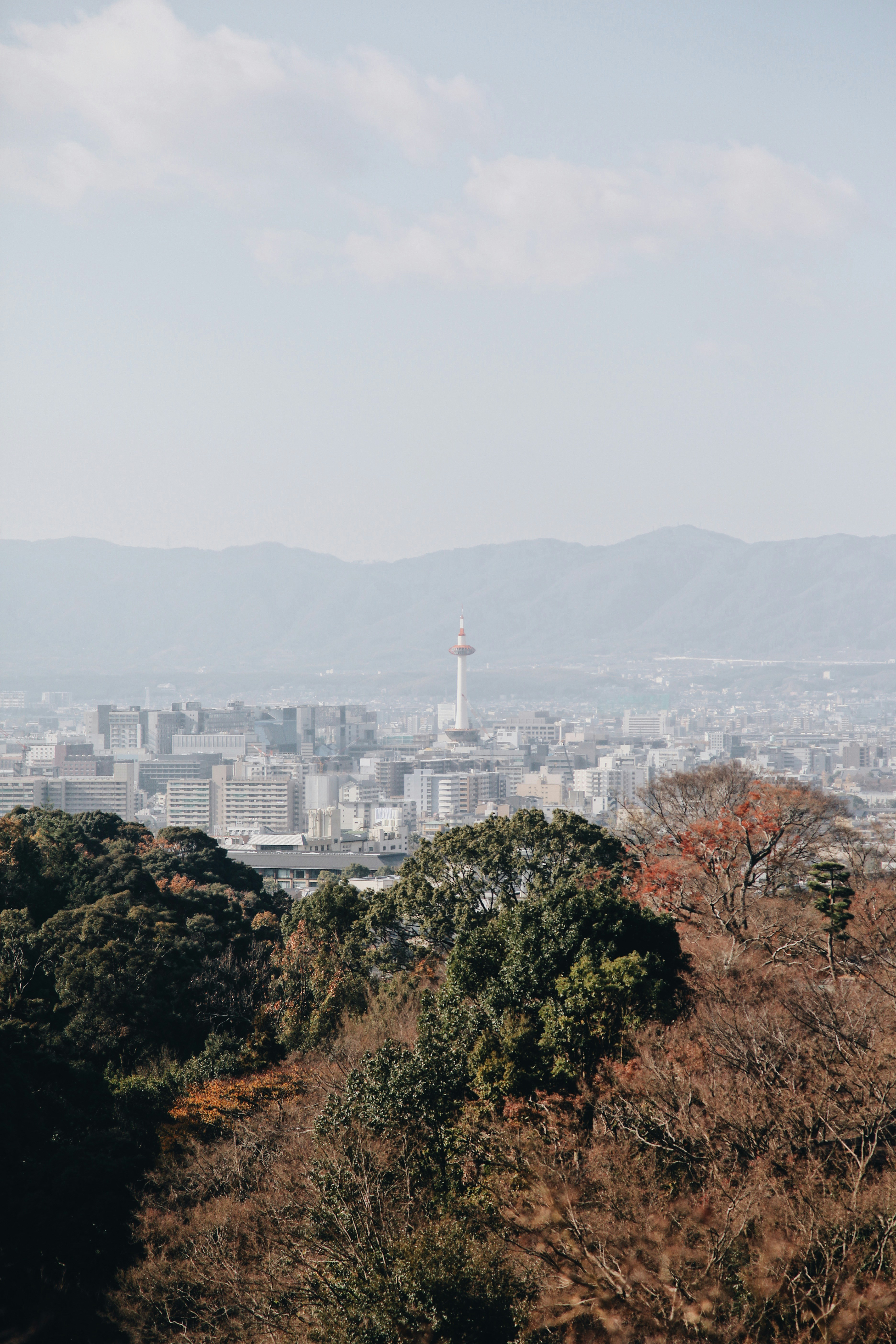 Photo by jasmineyutf