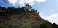 A steep hillside with a mix of exposed soil and scattered rocks is topped by dense, green trees. The landscape is under a bright blue sky dotted with white clouds, with some sparse vegetation at the base of the hill.